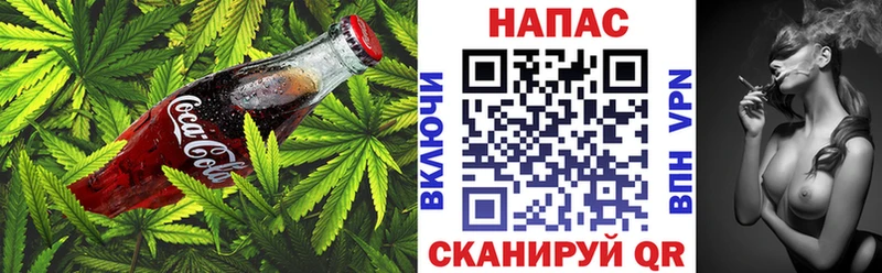 сколько стоит  Хилок  Cannafood конопля 