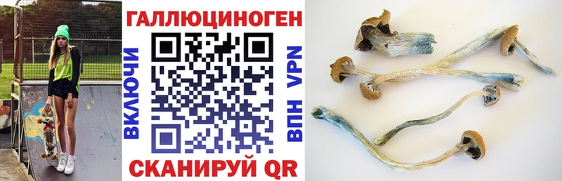 что такое наркотик  Хилок  Псилоцибиновые грибы GOLDEN TEACHER 