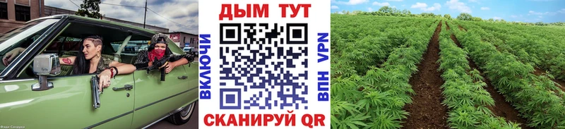 KRAKEN сайт  Хилок  Канабис THC 21% 